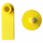 OREJERA-OVINO-RECTANGULAR