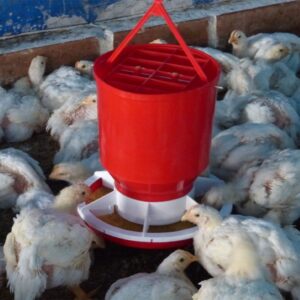COMEDERO-GALLINAS-2
