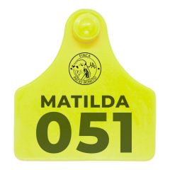 Orejera Bovino Export Agrofácil Para Identificar Ganado - Amarillo, Personalizada a láser
