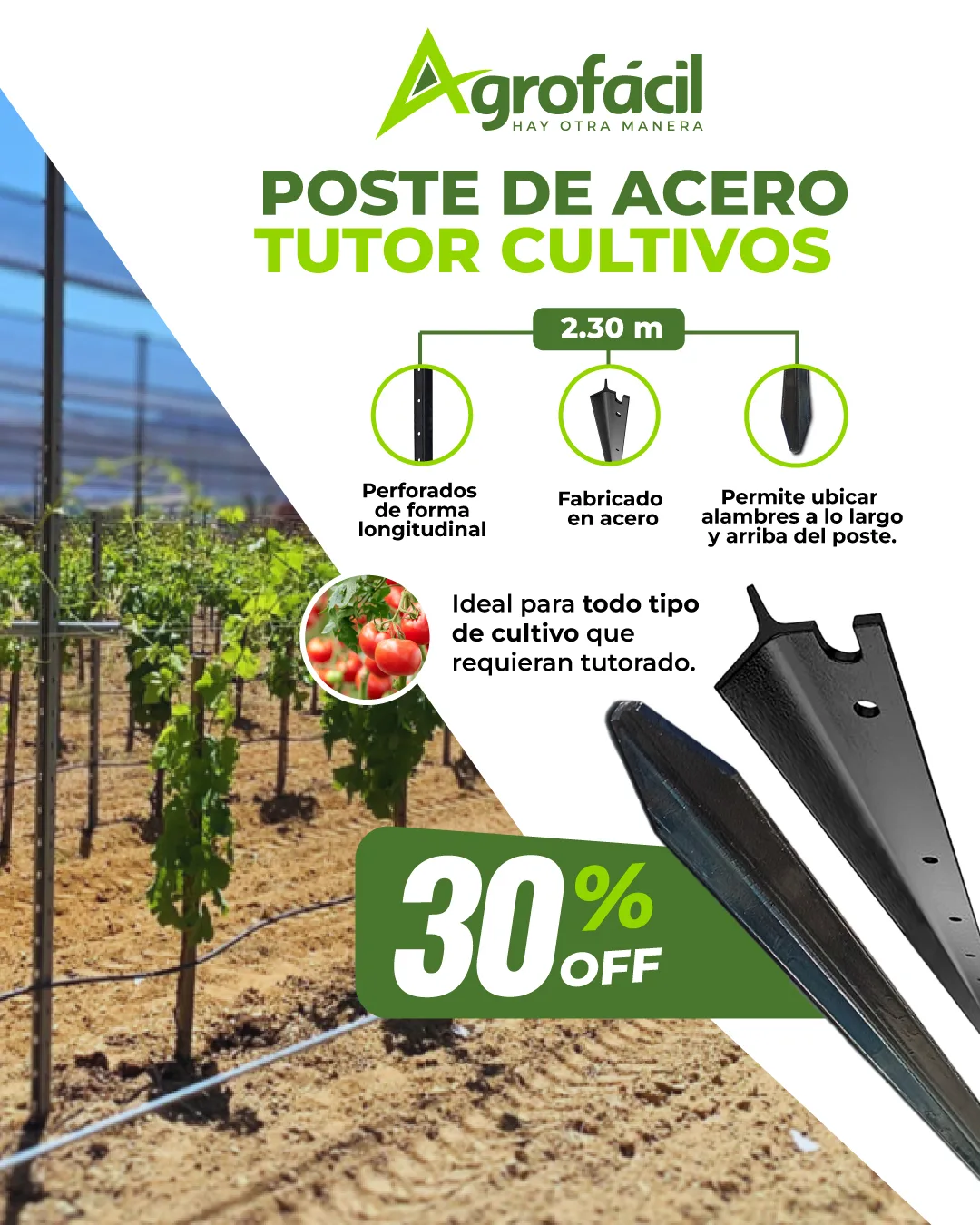 tutor-movil